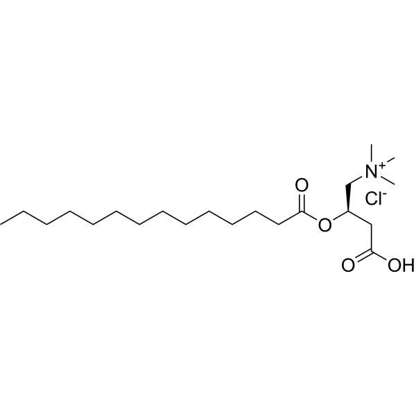 Myristoyl-L-carnitine chloride 173686-73-2